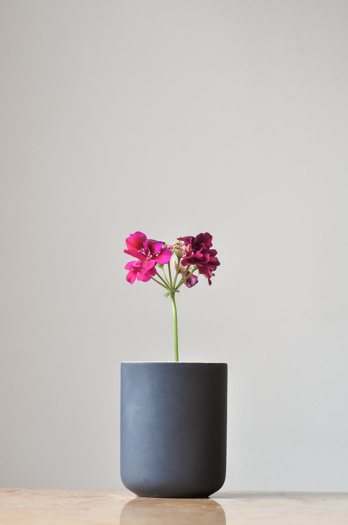 Oisín Vase
