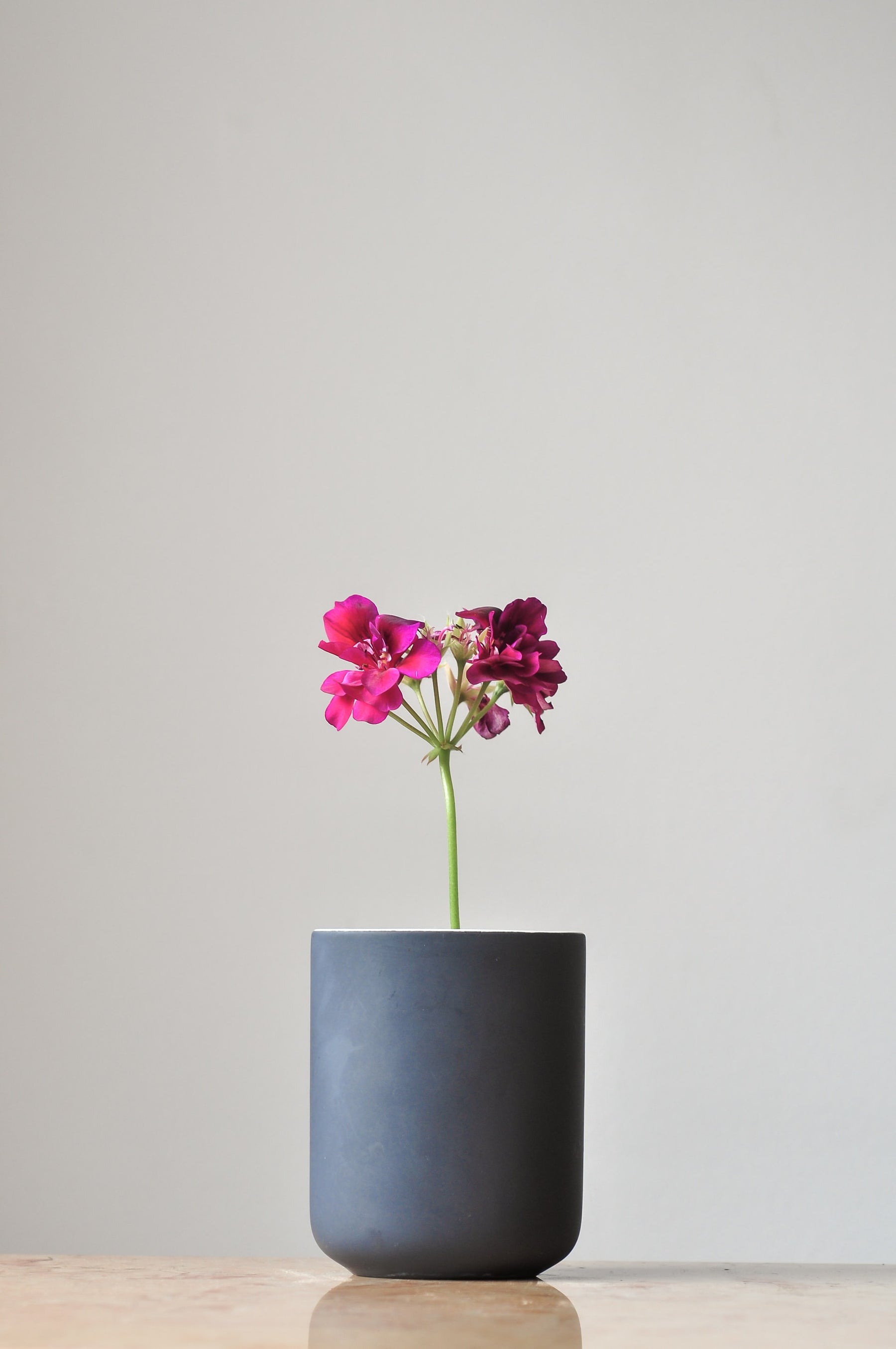 Oisín Vase